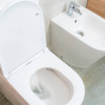 Een Fris Perspectief op Jouw Toilet bij Sanispecials!